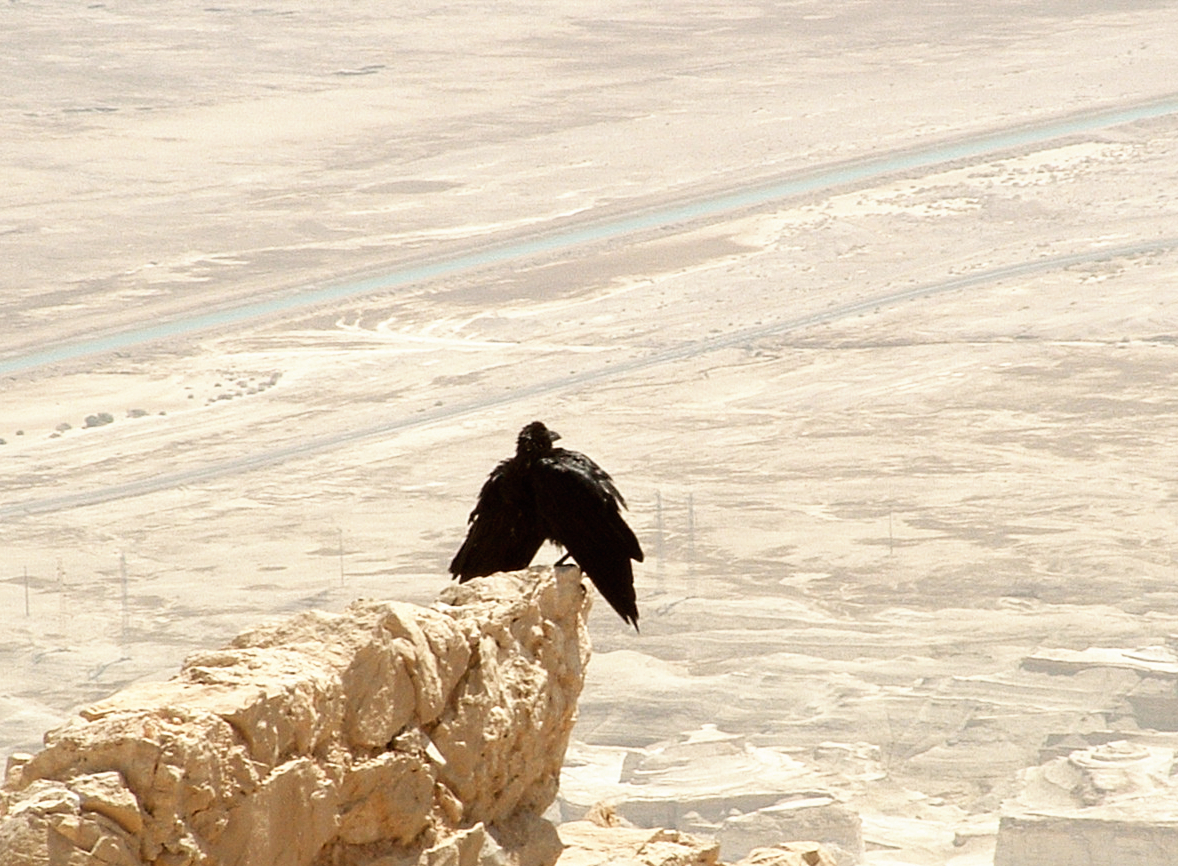 Masada Dead Sea Israel-Rundreise: Die antike Festung Masada tront 400 Meter über dem tiefsten Punkt der Erde am Toten Meer