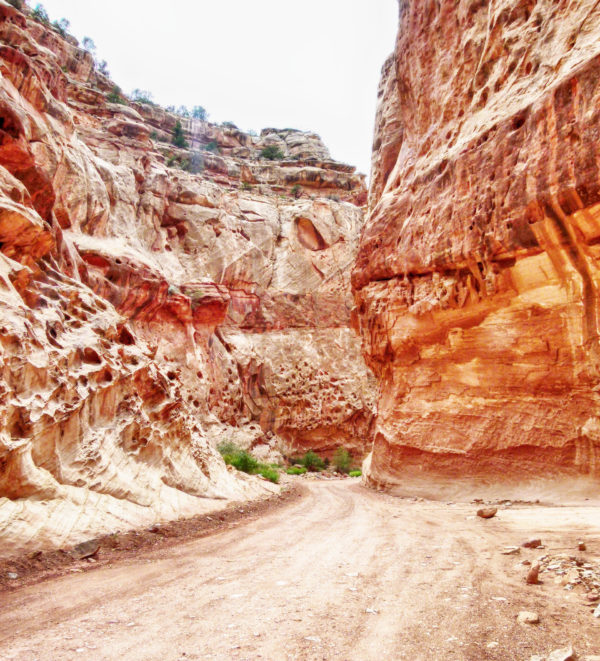 Capitol Reef National Park Slot Canyon Utah Roadtrip Alternativen